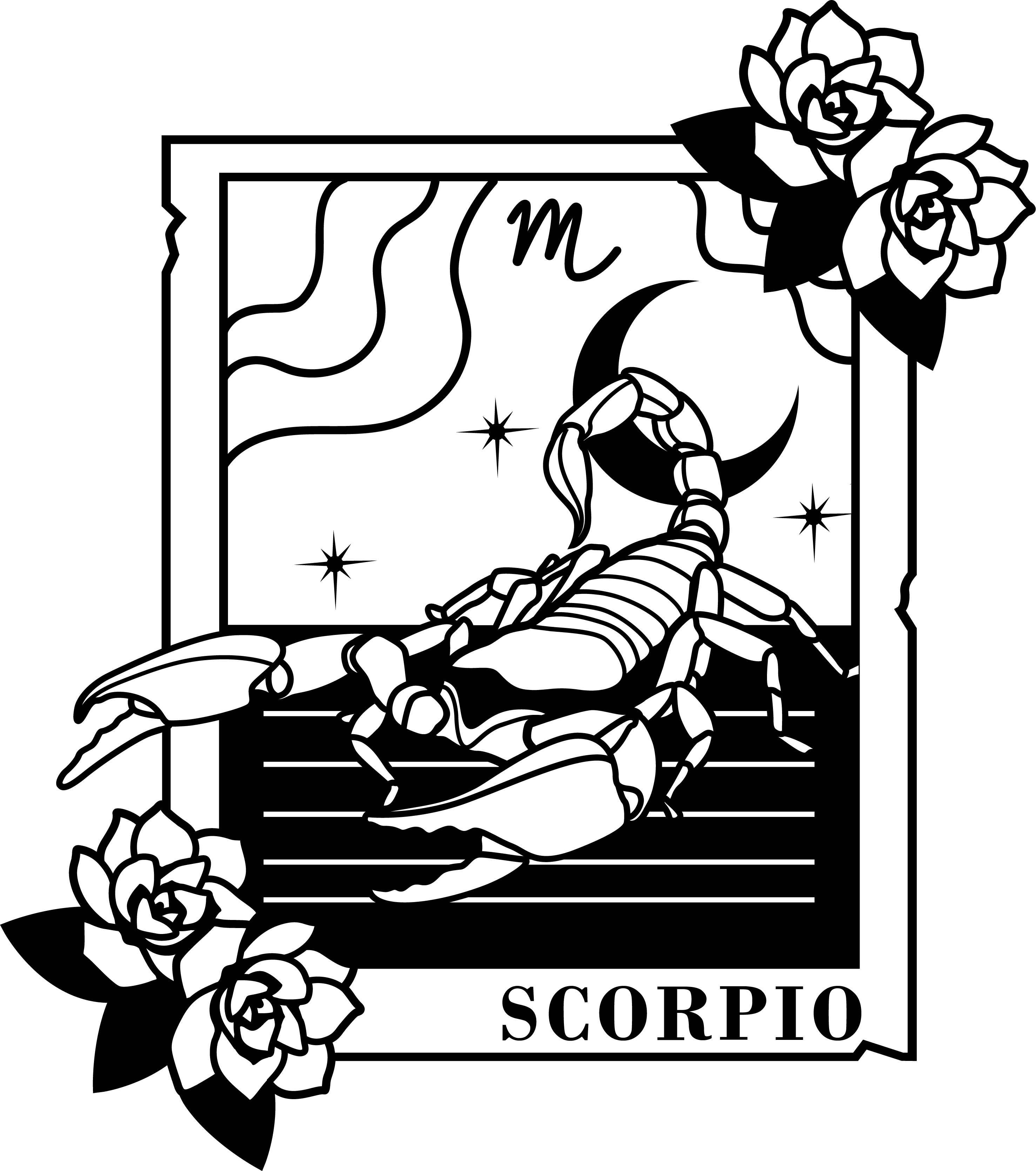 Scorpio Card | Heat Transfer