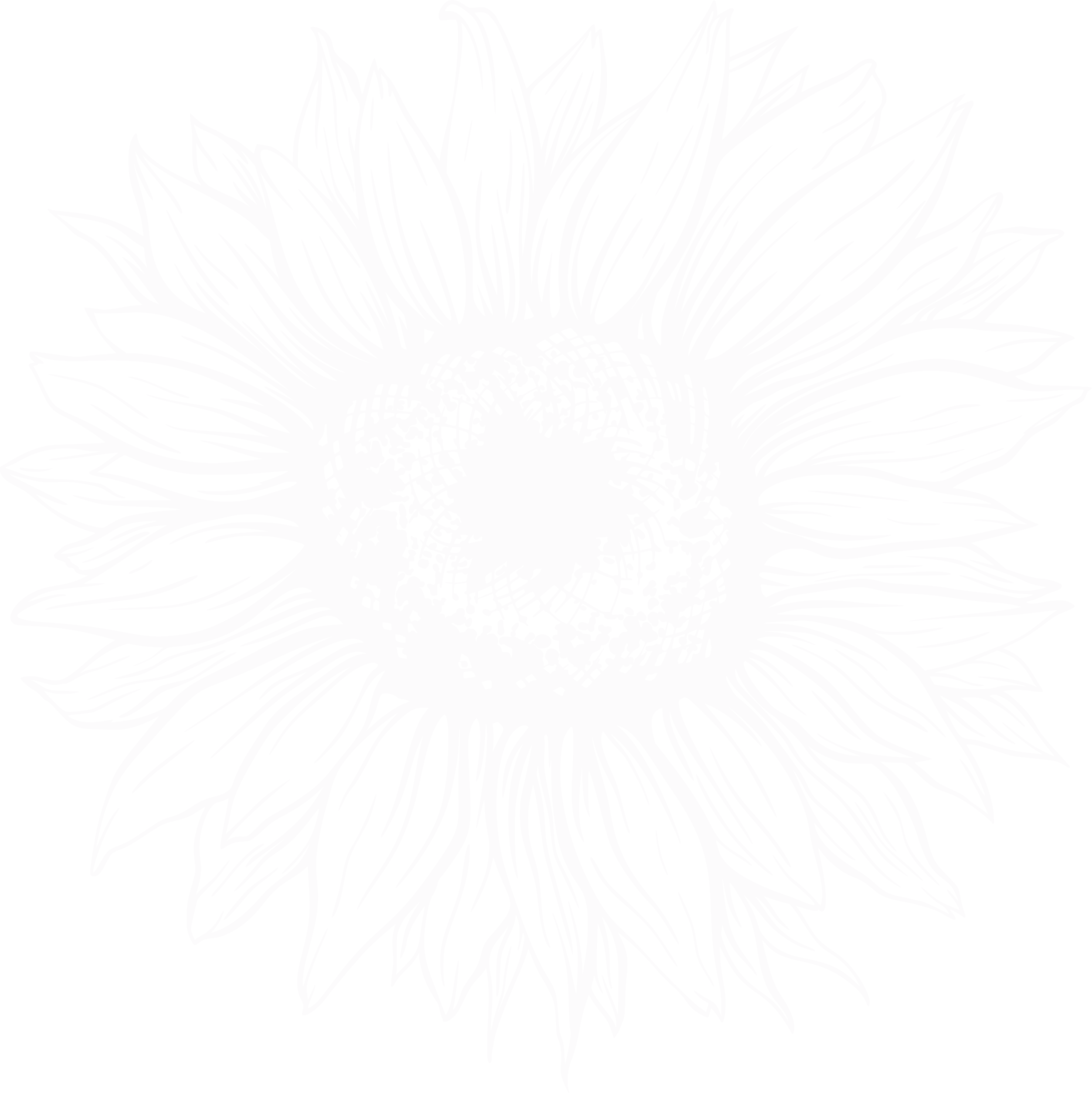Sunflower Heat Transfer