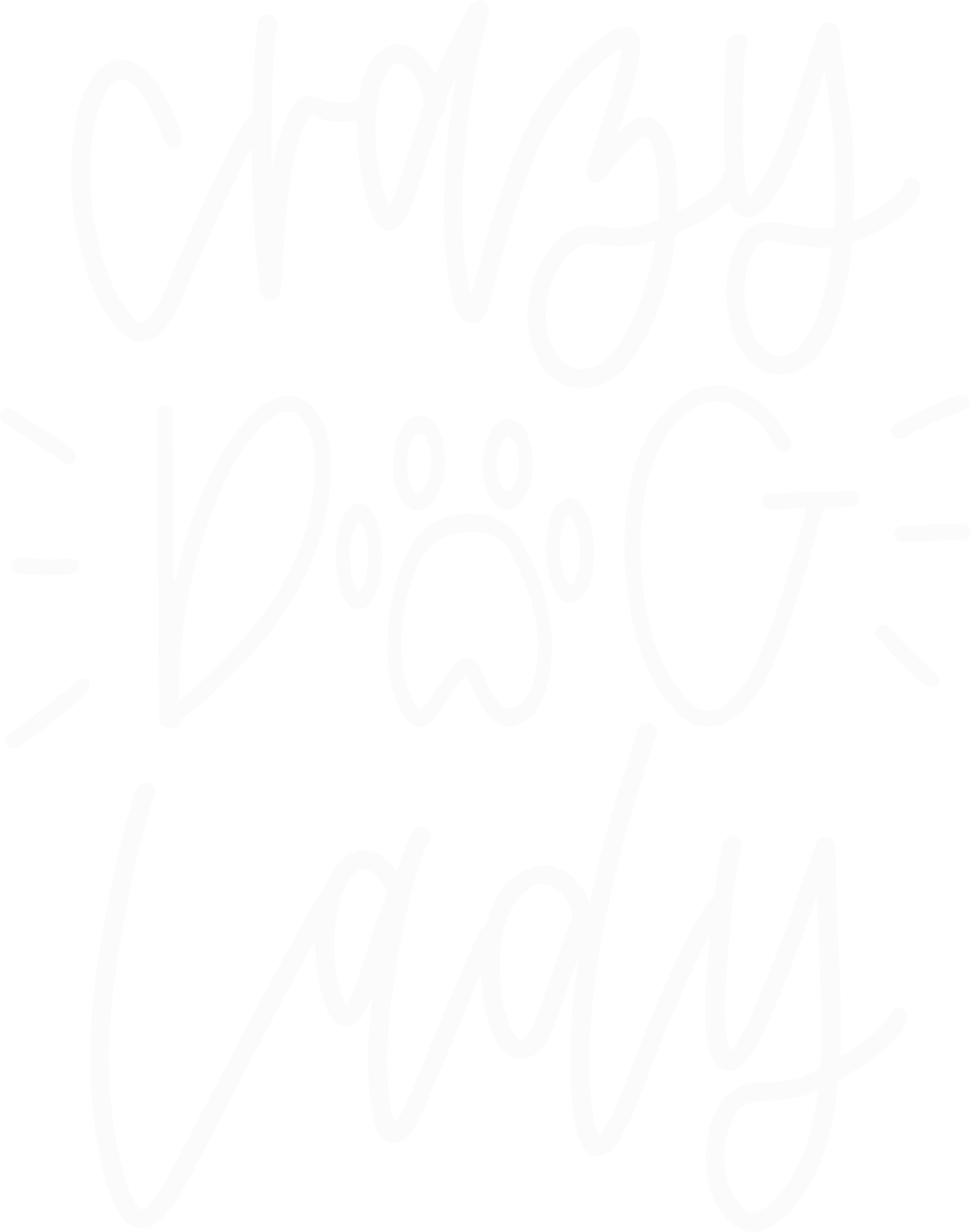 Crazy Dog Lady | Heat Transfer